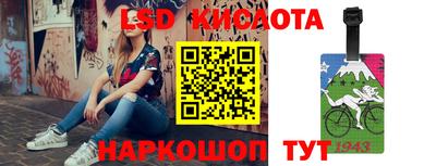 шишки Можга