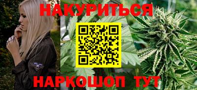 шишки Можга