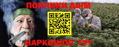 шишки Можга