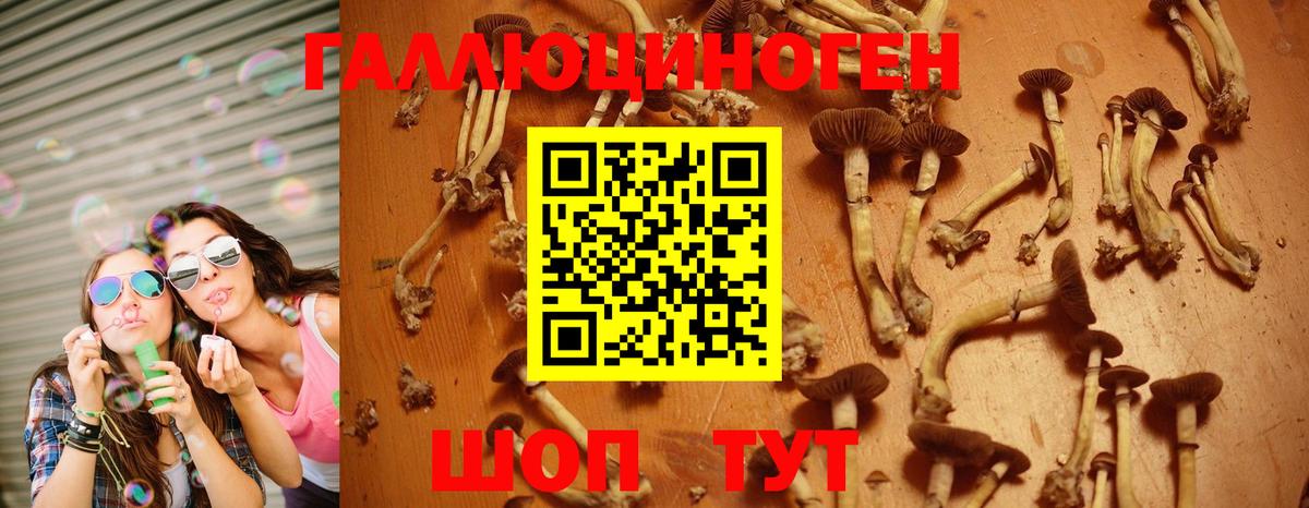 Галлюциногенные грибы ЛСД Саратов
